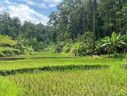  14 OKTOBER - Family Hike Sentul